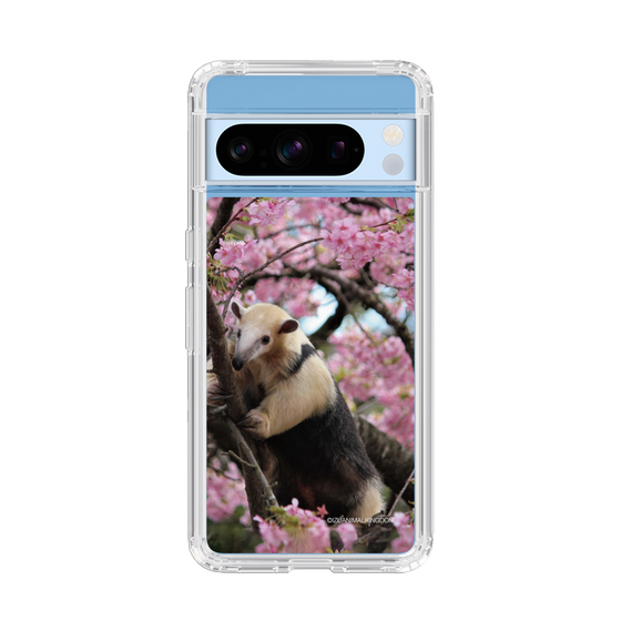 Slim Protection Case［ The Izu Animal Kingdom - Anteater ］