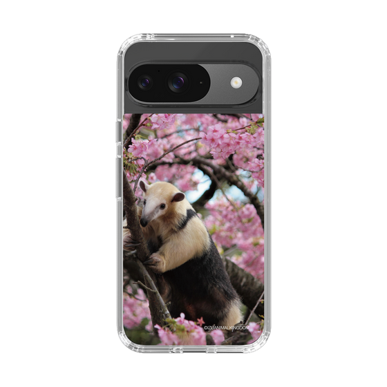 Slim Protection Case［ The Izu Animal Kingdom - Anteater ］
