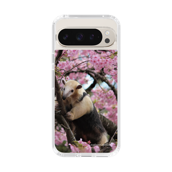 Slim Protection Case［ The Izu Animal Kingdom - Anteater ］