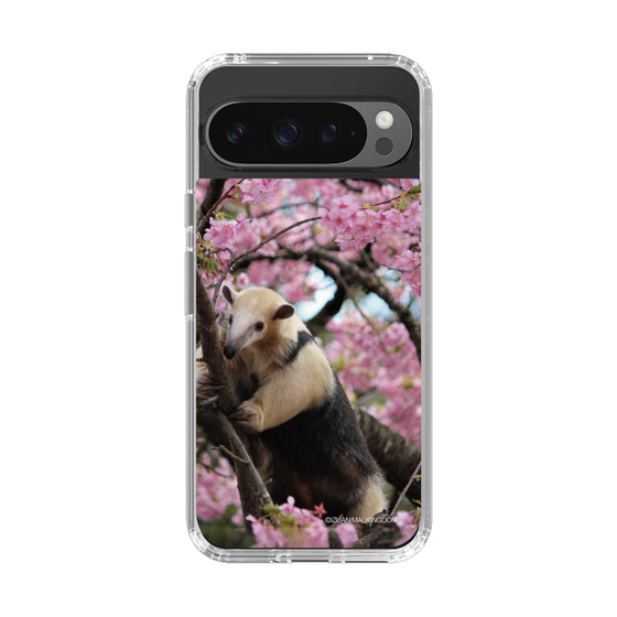 Slim Protection Case［ The Izu Animal Kingdom - Anteater ］
