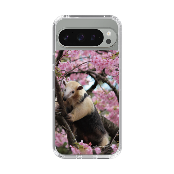 Slim Protection Case［ The Izu Animal Kingdom - Anteater ］