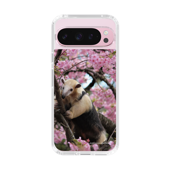Slim Protection Case［ The Izu Animal Kingdom - Anteater ］