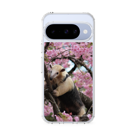 Slim Protection Case［ The Izu Animal Kingdom - Anteater ］