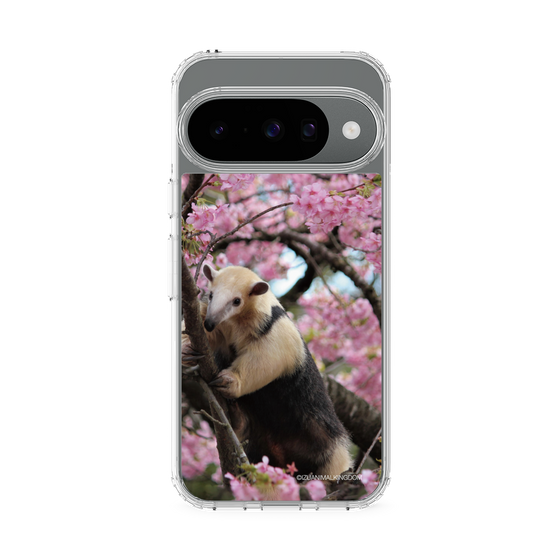 Slim Protection Case［ The Izu Animal Kingdom - Anteater ］