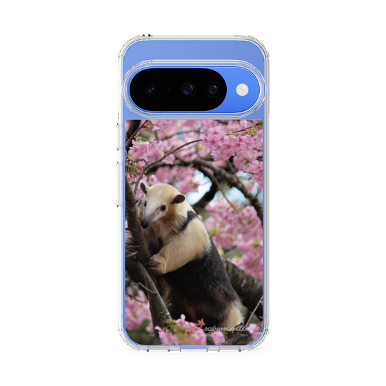 Slim Protection Case［ The Izu Animal Kingdom - Anteater ］