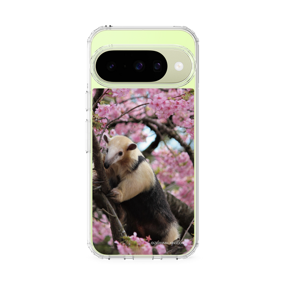 Slim Protection Case［ The Izu Animal Kingdom - Anteater ］