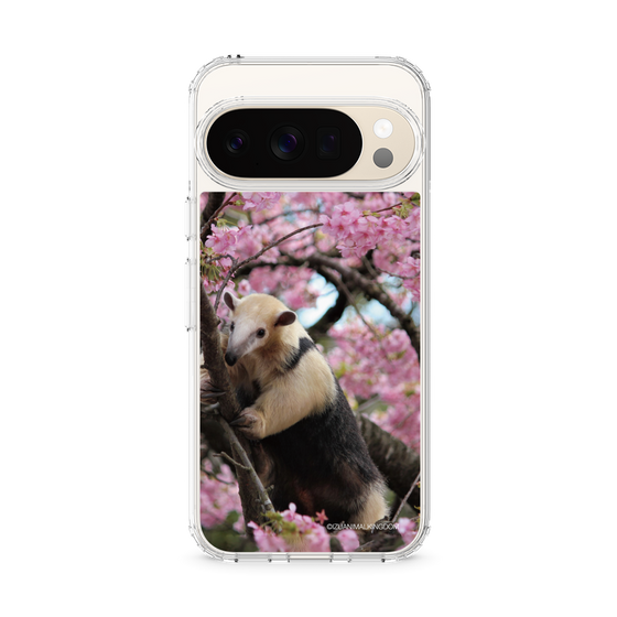 Slim Protection Case［ The Izu Animal Kingdom - Anteater ］