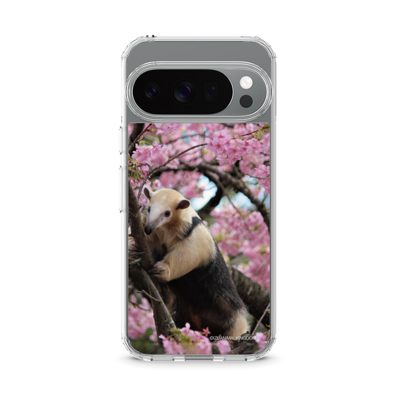 Slim Protection Case［ The Izu Animal Kingdom - Anteater ］