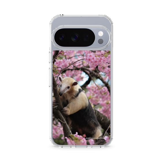 Slim Protection Case［ The Izu Animal Kingdom - Anteater ］