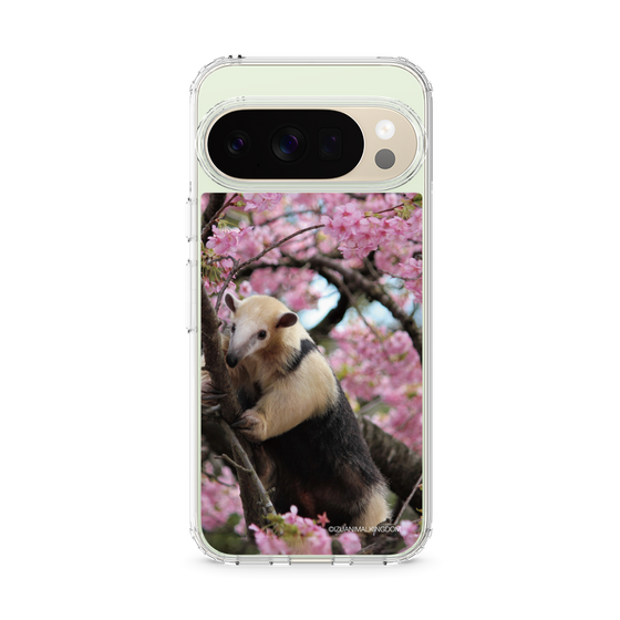 Slim Protection Case［ The Izu Animal Kingdom - Anteater ］