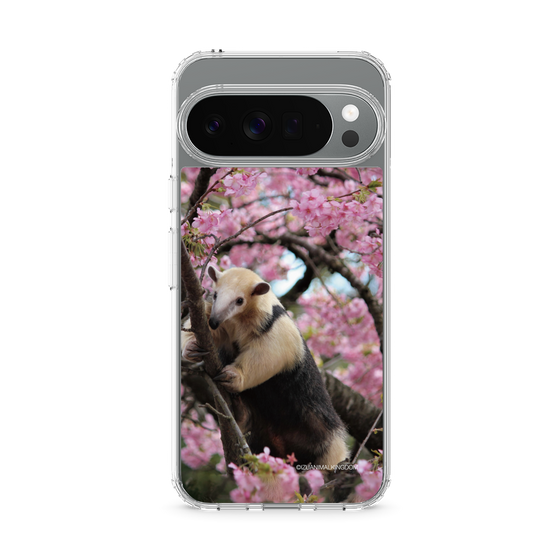 Slim Protection Case［ The Izu Animal Kingdom - Anteater ］