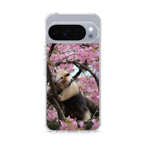 Slim Protection Case［ The Izu Animal Kingdom - Anteater ］