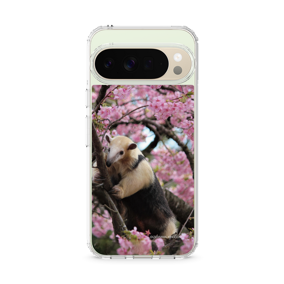 Slim Protection Case［ The Izu Animal Kingdom - Anteater ］