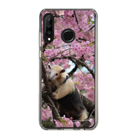 Slim Protection Case［ The Izu Animal Kingdom - Anteater ］