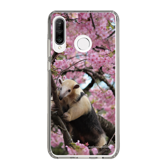Slim Protection Case［ The Izu Animal Kingdom - Anteater ］