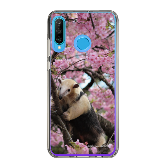 Slim Protection Case［ The Izu Animal Kingdom - Anteater ］