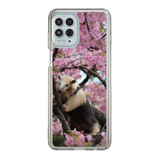 Slim Protection Case［ The Izu Animal Kingdom - Anteater ］