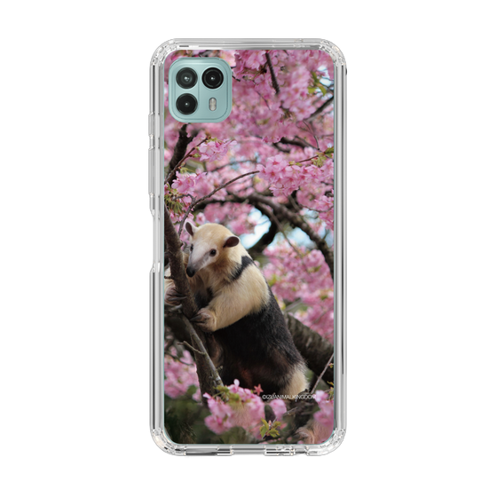 Slim Protection Case［ The Izu Animal Kingdom - Anteater ］