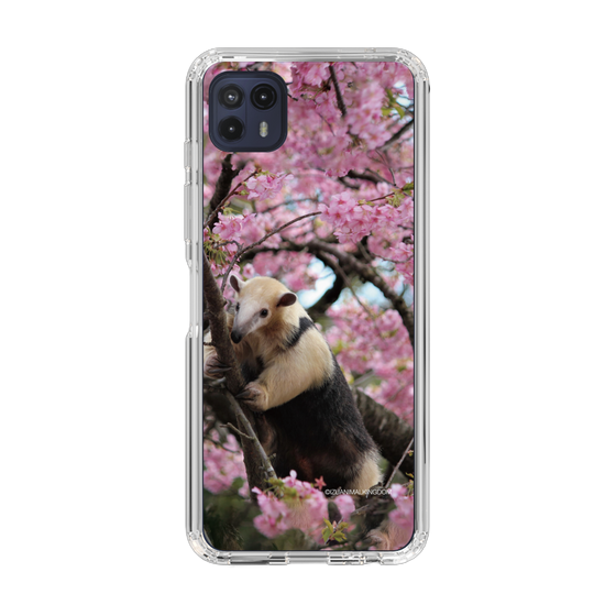Slim Protection Case［ The Izu Animal Kingdom - Anteater ］