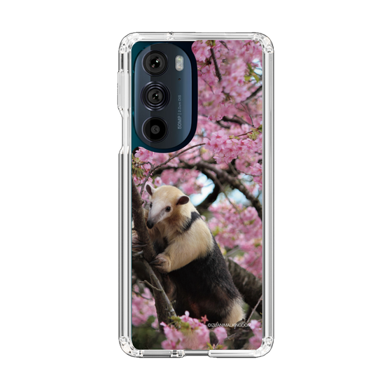 Slim Protection Case［ The Izu Animal Kingdom - Anteater ］