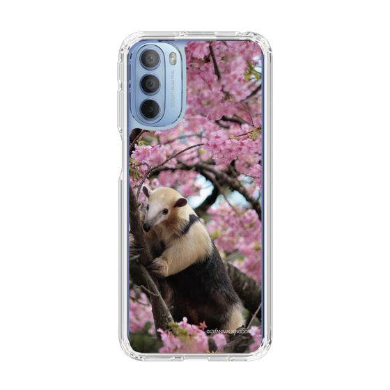 Slim Protection Case［ The Izu Animal Kingdom - Anteater ］