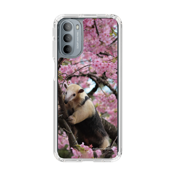 Slim Protection Case［ The Izu Animal Kingdom - Anteater ］