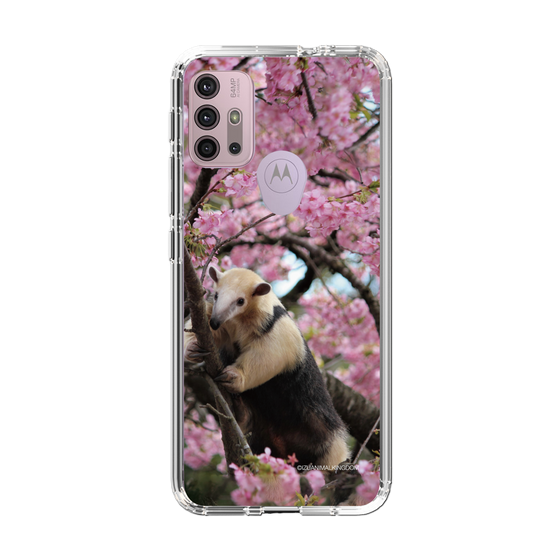Slim Protection Case［ The Izu Animal Kingdom - Anteater ］
