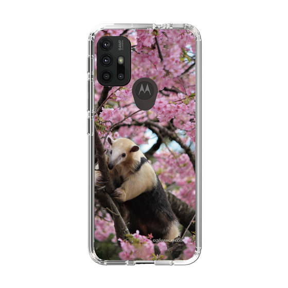 Slim Protection Case［ The Izu Animal Kingdom - Anteater ］