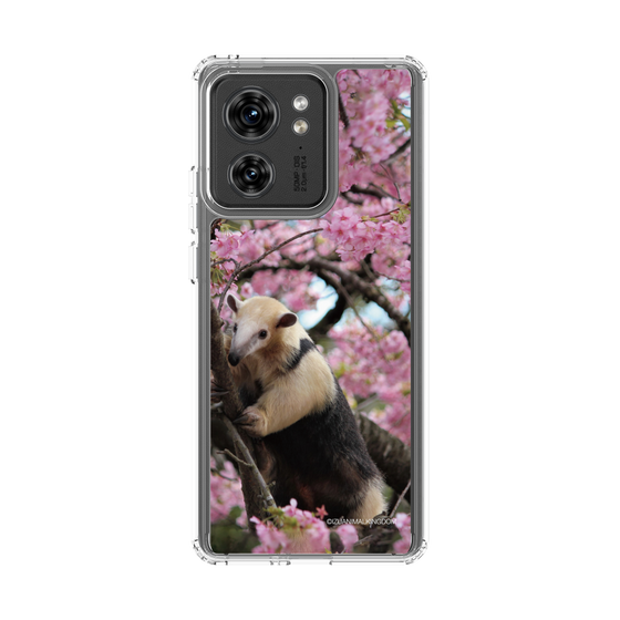 Slim Protection Case［ The Izu Animal Kingdom - Anteater ］