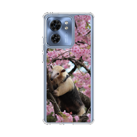 Slim Protection Case［ The Izu Animal Kingdom - Anteater ］