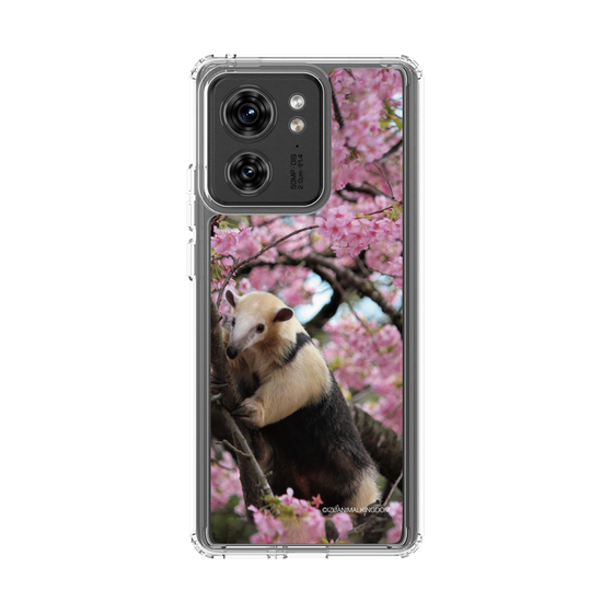 Slim Protection Case［ The Izu Animal Kingdom - Anteater ］