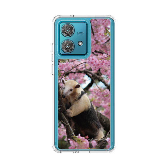 Slim Protection Case［ The Izu Animal Kingdom - Anteater ］