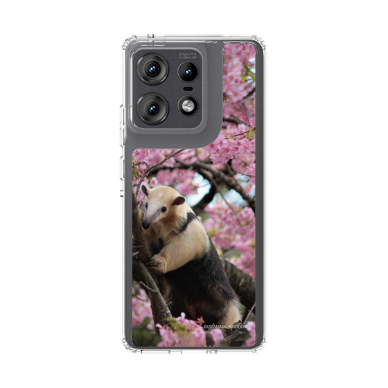 Slim Protection Case［ The Izu Animal Kingdom - Anteater ］