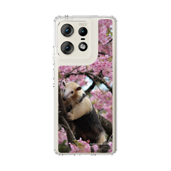 Slim Protection Case［ The Izu Animal Kingdom - Anteater ］