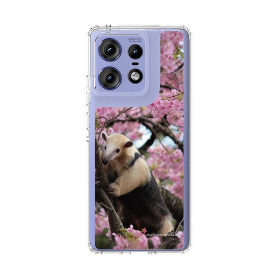 Slim Protection Case［ The Izu Animal Kingdom - Anteater ］