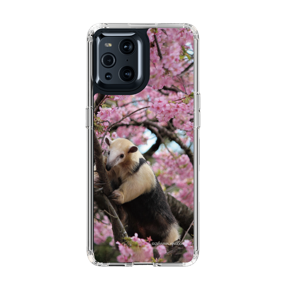 Slim Protection Case［ The Izu Animal Kingdom - Anteater ］