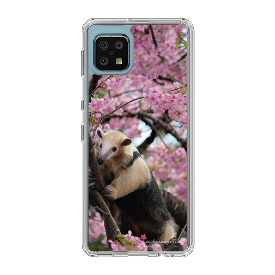 Slim Protection Case［ The Izu Animal Kingdom - Anteater ］
