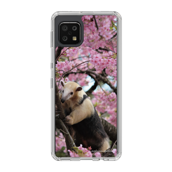 Slim Protection Case［ The Izu Animal Kingdom - Anteater ］