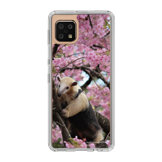 Slim Protection Case［ The Izu Animal Kingdom - Anteater ］