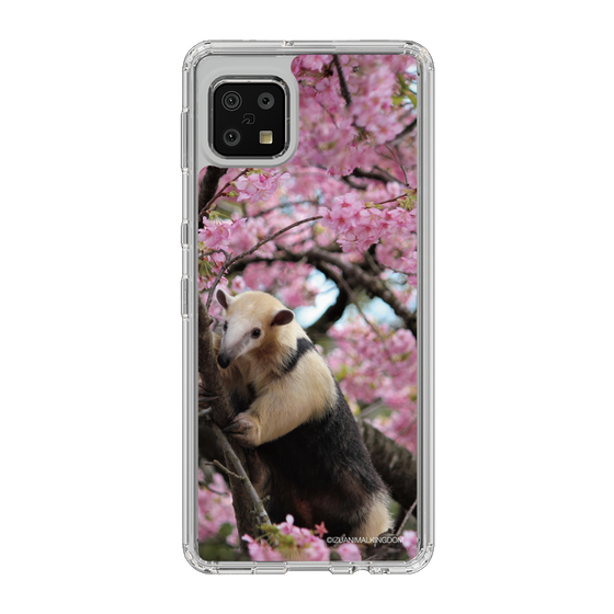 Slim Protection Case［ The Izu Animal Kingdom - Anteater ］