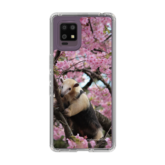 Slim Protection Case［ The Izu Animal Kingdom - Anteater ］