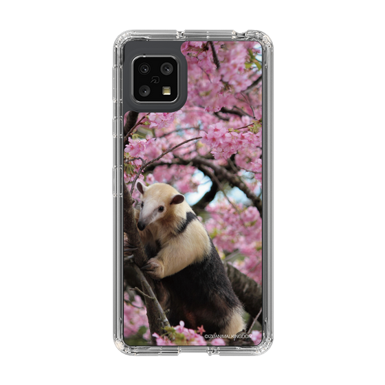 Slim Protection Case［ The Izu Animal Kingdom - Anteater ］
