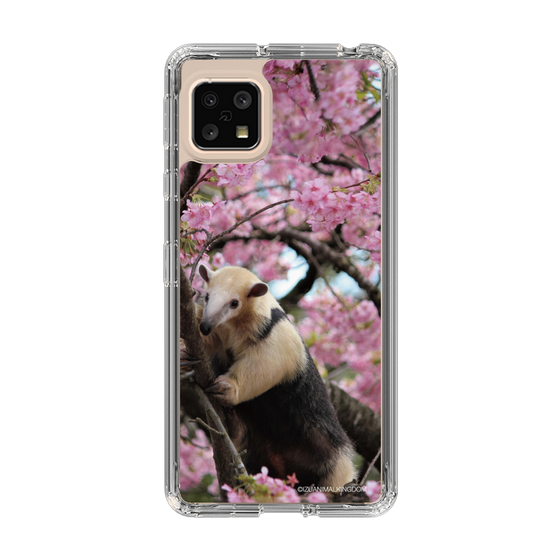 Slim Protection Case［ The Izu Animal Kingdom - Anteater ］