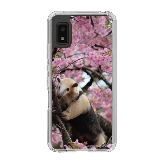 Slim Protection Case［ The Izu Animal Kingdom - Anteater ］