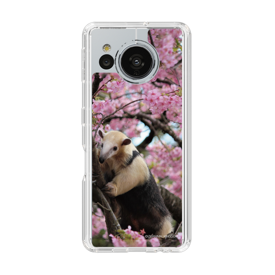Slim Protection Case［ The Izu Animal Kingdom - Anteater ］
