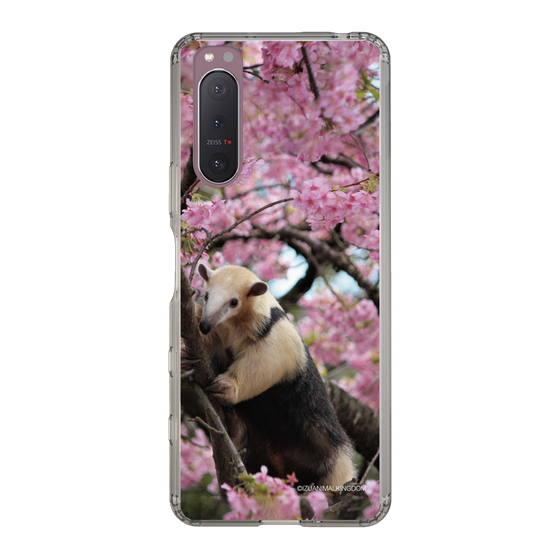 Slim Protection Case［ The Izu Animal Kingdom - Anteater ］