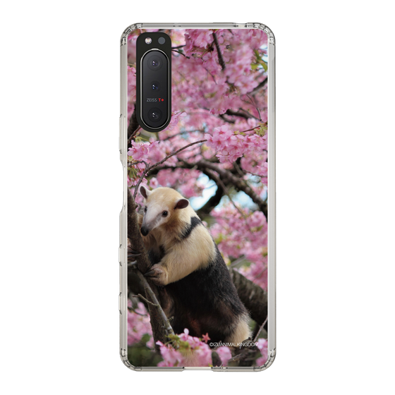 Slim Protection Case［ The Izu Animal Kingdom - Anteater ］