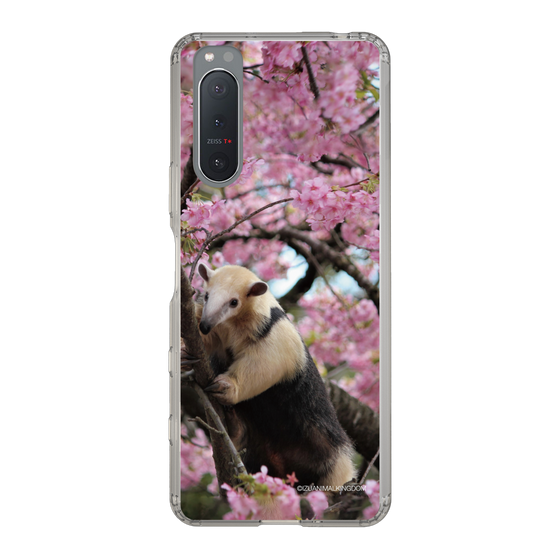 Slim Protection Case［ The Izu Animal Kingdom - Anteater ］