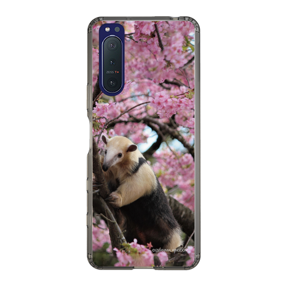 Slim Protection Case［ The Izu Animal Kingdom - Anteater ］