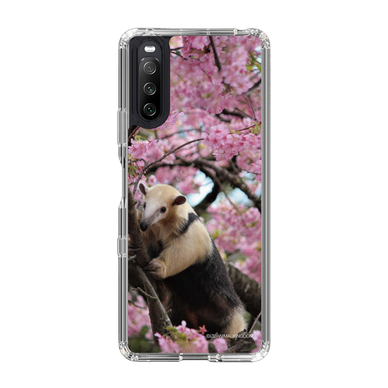 Slim Protection Case［ The Izu Animal Kingdom - Anteater ］